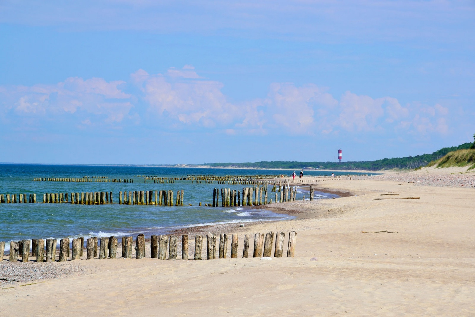 Куршская коса (Curonian Spit). Фото 2 – фотографии России