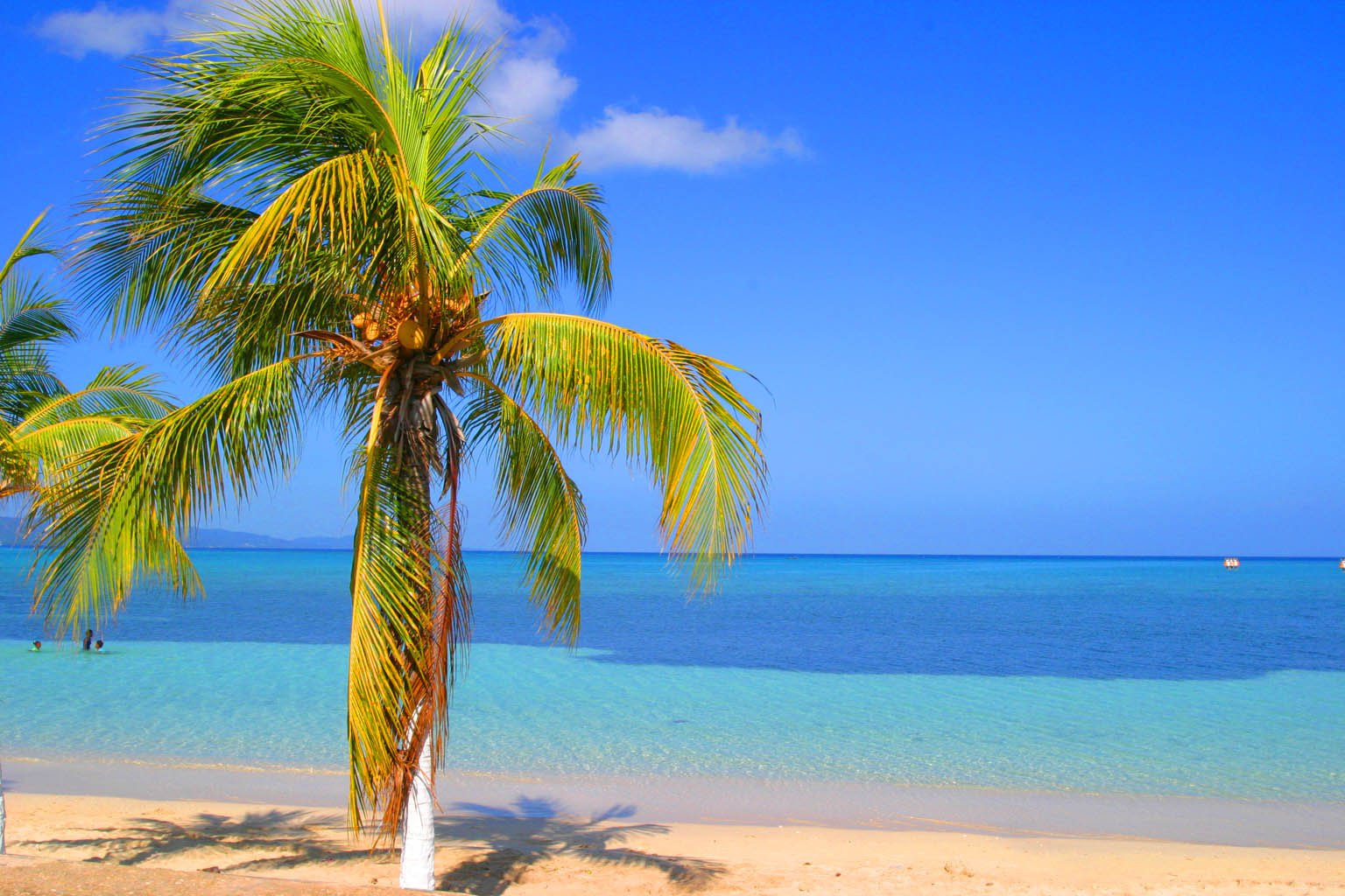 Пляж в Монтего Бей, Ямайка. Фото 23 – фотографии Ямайки