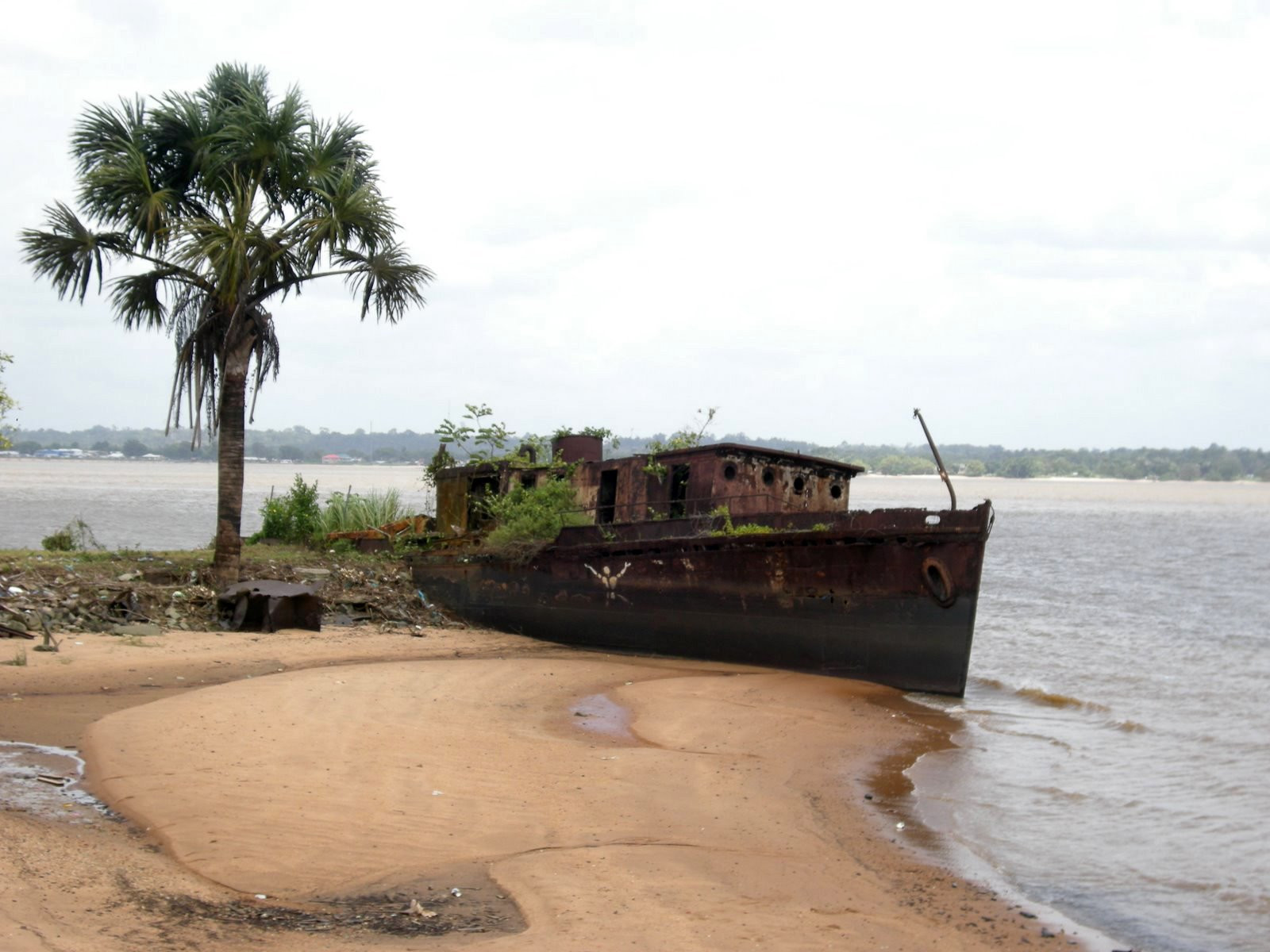 Суринам, фото № 4580 – фотографии Суринама