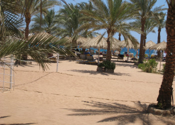 Шарм-эль-Шейх, Египет, фото № 35761 – фотографии Египта