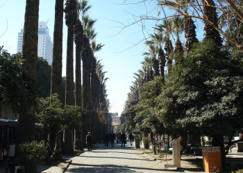 Измир, Эгейский регион, Турция, фото № 47747 – фотографии Турции