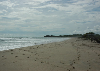 Плайя Носара, Гуанакасте провинция, Коста-Рика, фото № 39639 – фотографии Коста-Рики