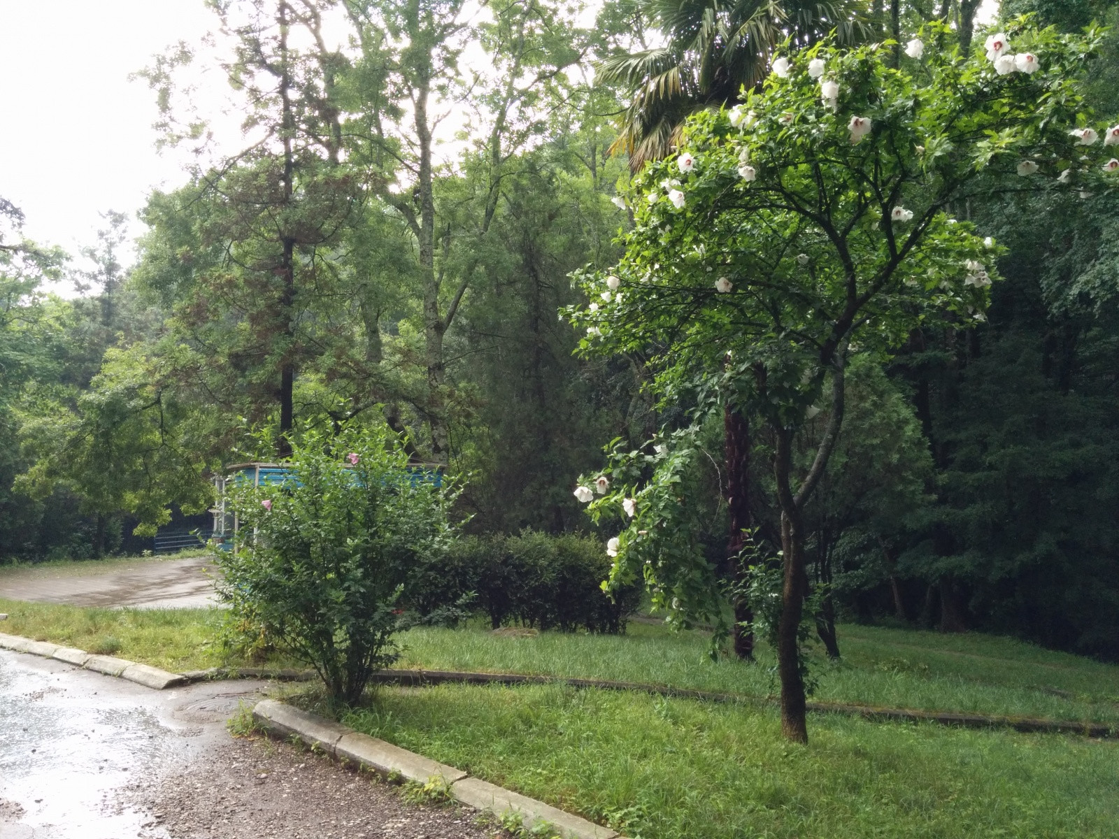 Посёлок Южный в 5 км от Туапсе. Фото 2 – фотографии России