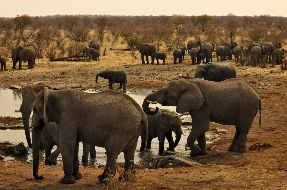 Namibia – фотографии Намибии