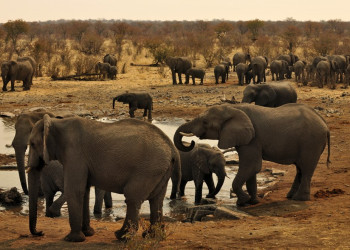 Namibia – фотографии Намибии