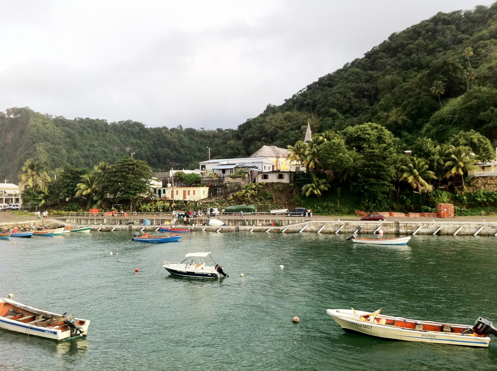 Гран'Ривьер (Grand'Riviere) – фотографии Мартиники