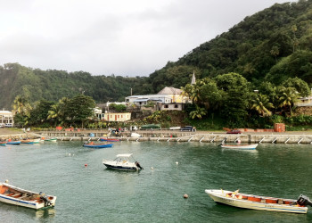 Гран'Ривьер (Grand'Riviere) – фотографии Мартиники