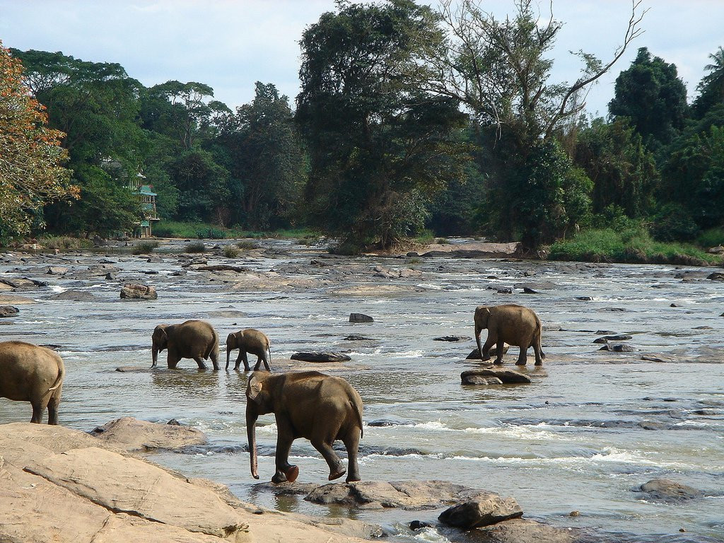 Канди, Шри-Ланка, фото № 51343 – фотографии Шри-Ланки