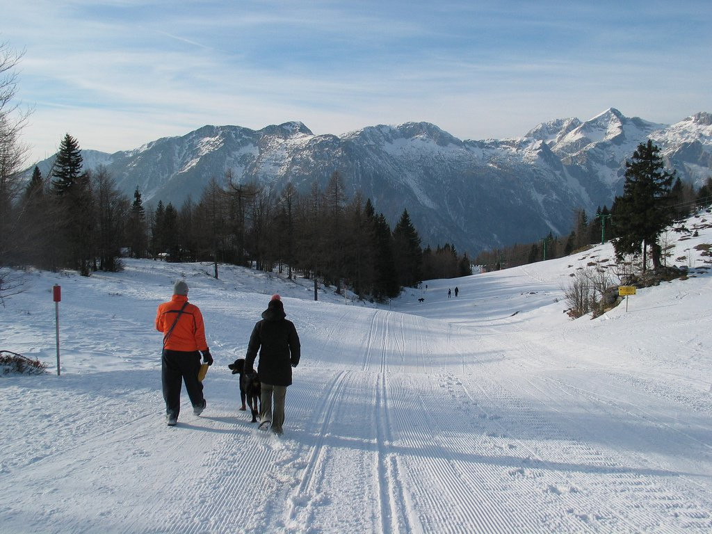 Велика Планина, Словения, фото № 56976 – фотографии Словении
