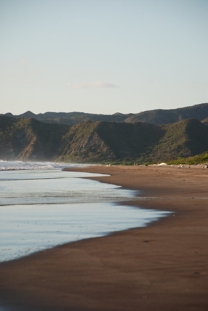 Санта Роза Национальный Парк, Гуанакасте провинция, Коста-Рика, фото № 39343 – фотографии Коста-Рики