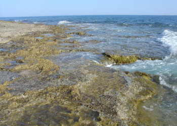 Пафос, Кипр, фото № 38488 – фотографии Кипра