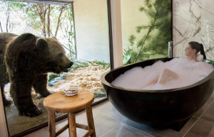 Канберра, отель-зоопарк Jamala Wildlife Lodge. Фото 2 – фотографии Австралии