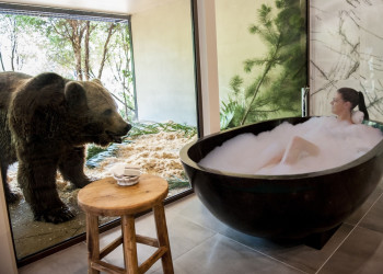 Канберра, отель-зоопарк Jamala Wildlife Lodge. Фото 2 – фотографии Австралии