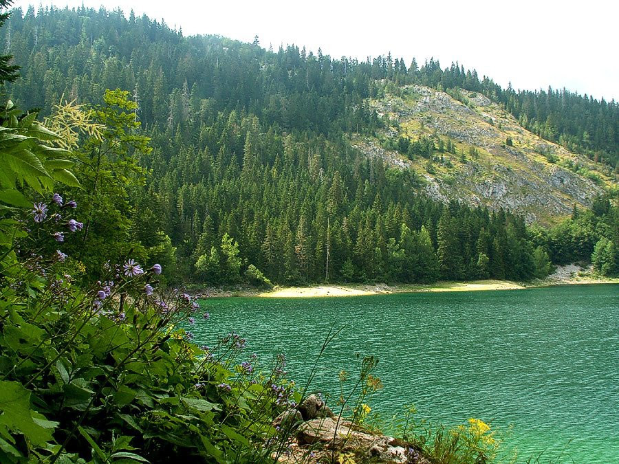 Црно озеро – фотографии Черногории