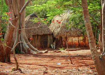 Традиционные домики Майя. Мексика – фотографии Мексики