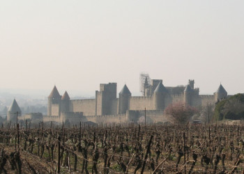 Плантация в Каркассоне, Франция – фотографии Франции