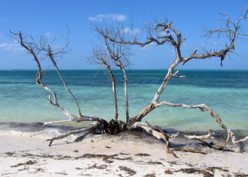 Пляж в Кайо-Гильермо, Куба. Фото 11 – фотографии Кубы