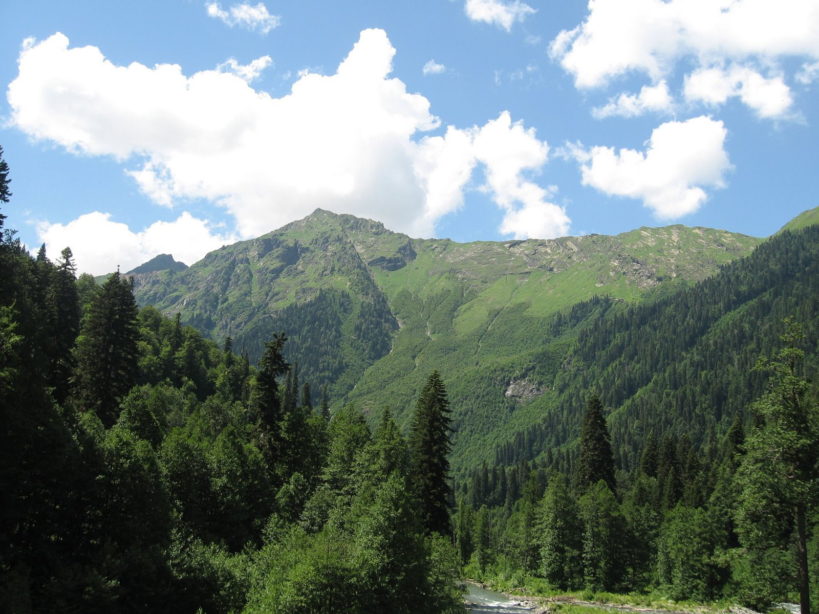 Природа в Абхазии – фотографии Абхазии