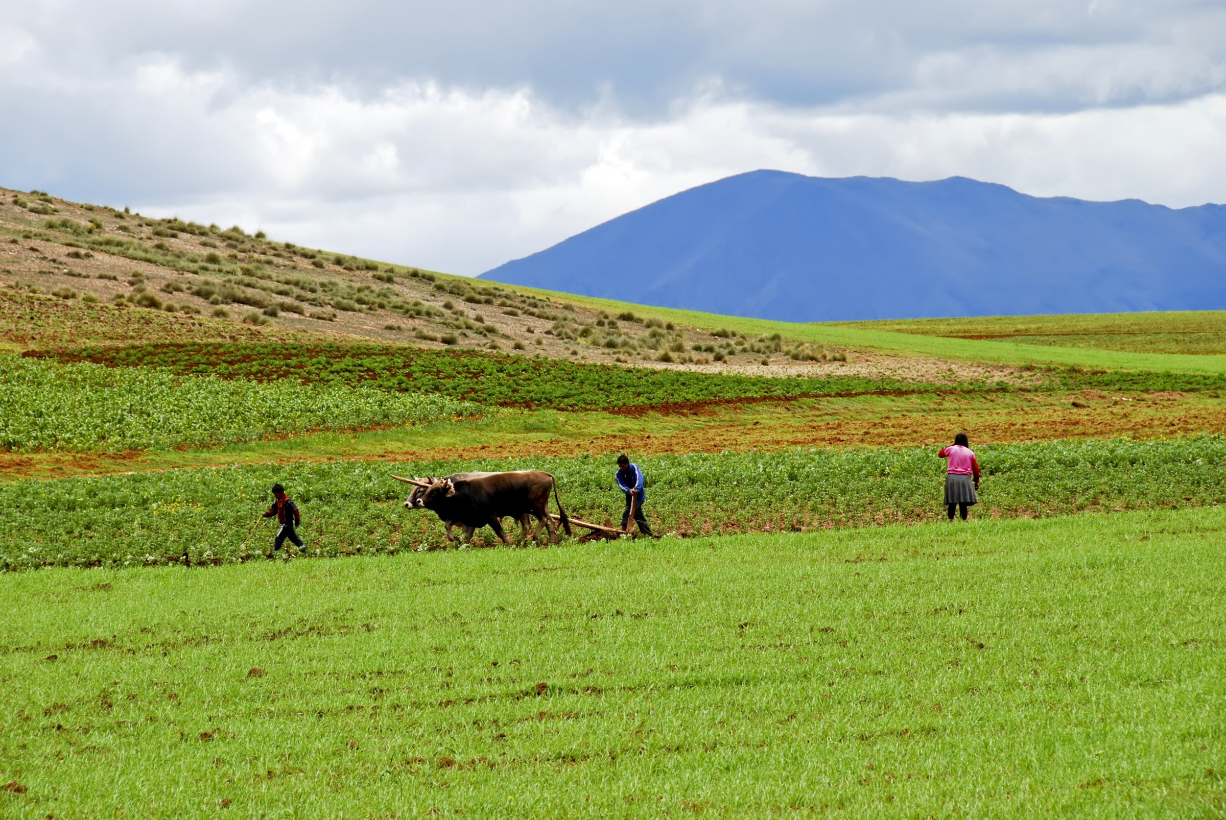 Морай (Moray) – фотографии Перу