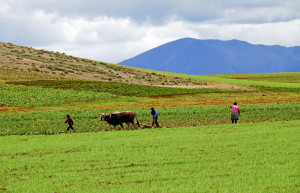 Морай (Moray) – фотографии Перу