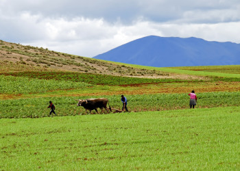 Морай (Moray) – фотографии Перу