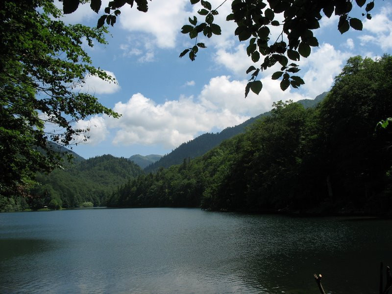 Озеро в Национальном парке, Черногория. Фото 18 – фотографии Черногории