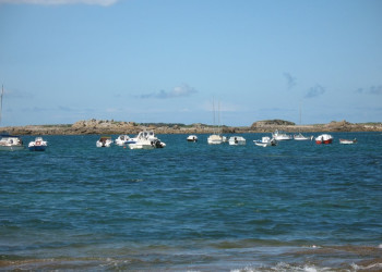 Яхты и катера в Требердене, Франция. Фото 3 – фотографии Франции