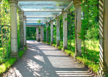 Сквер в Пушкина, Россия. Фото 5 – фотографии России