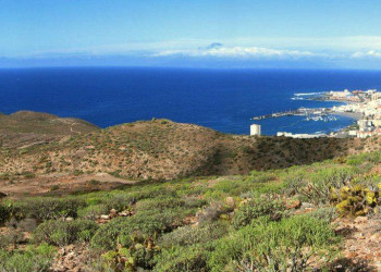 Лос-Кристианос, Тенерифе остров, Канарские острова, фото № 33409 – фотографии Канарских островов