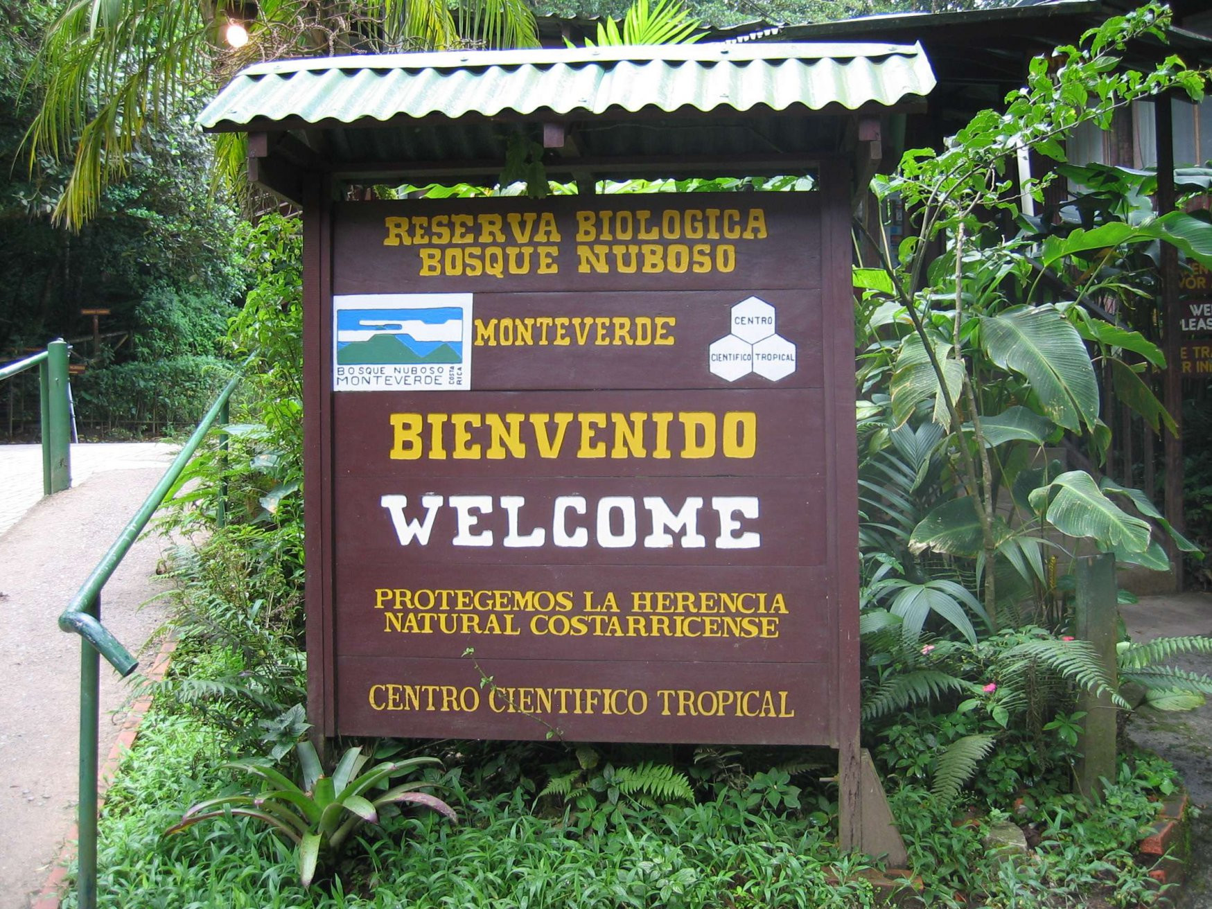 Монтеверде, Пунтаренас провинция, Коста-Рика, фото № 40722 – фотографии Коста-Рики