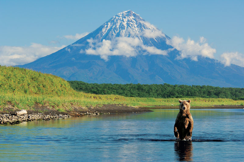 Мишка на Камчатке. Россия. Фото 1 – фотографии России