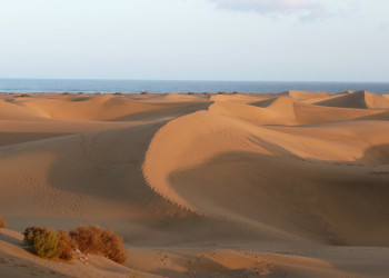 Маспаломас, Маспаломас Коста-Канария, Гран-Канария остров, Канарские острова, фото № 31068 – фотографии Канарских островов