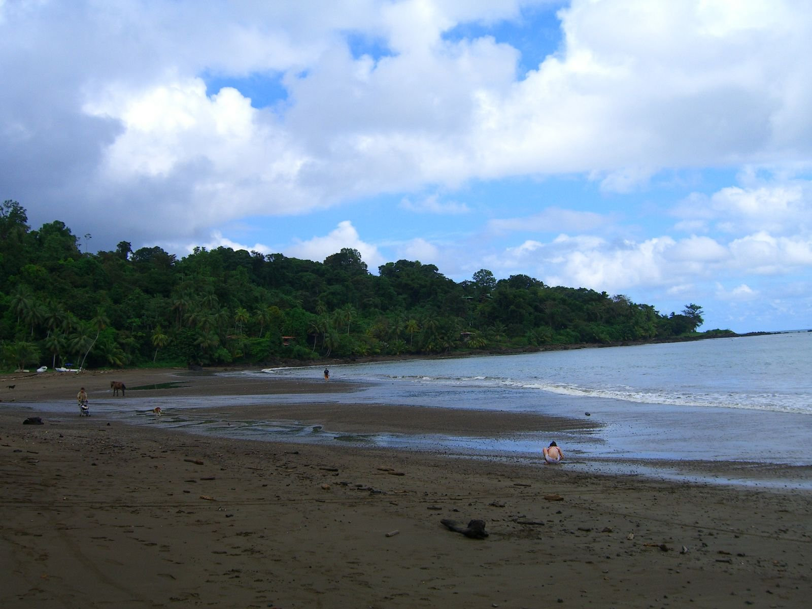 Дрейк Бэй, Пунтаренас провинция, Коста-Рика, фото № 40495 – фотографии Коста-Рики