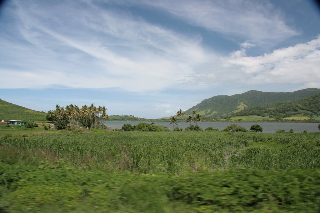 Саншайн Коаст, Вити Леву остров, Вити Леву группа островов, Фиджи, фото № 49615 – фотографии Фиджи