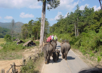 Деревня в Чианг-Рай, Тайланд – фотографии Таиланда