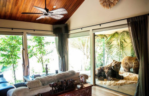 Канберра, отель-зоопарк Jamala Wildlife Lodge. Фото 4 – фотографии Австралии