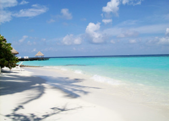 Пляж в Ари Атолле, Мальдивы. Фото 3 – фотографии Мальдивских островов