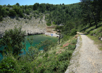 Природа в Врбник, Хорватия – фотографии Хорватии