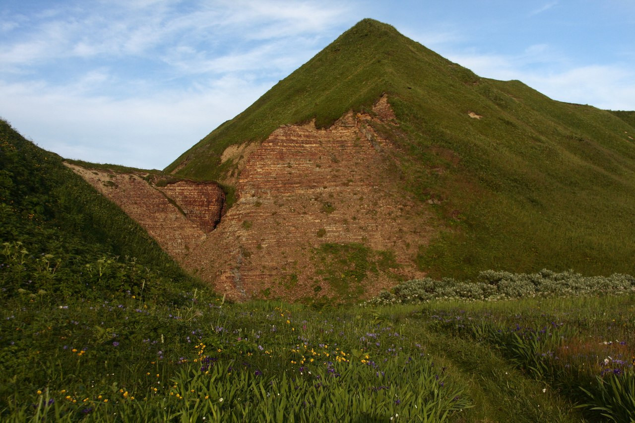 Командорский заповедник – фотографии России