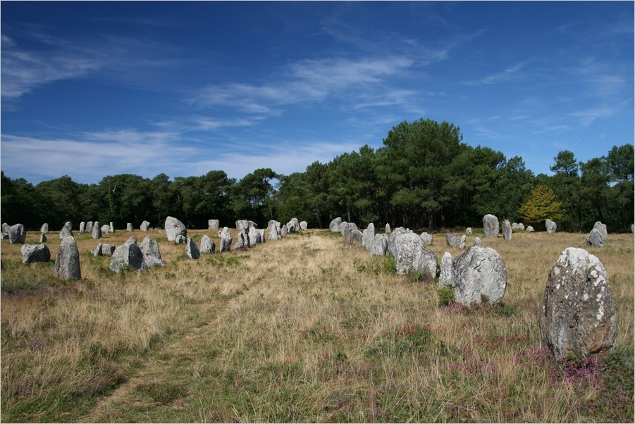 Природа в Карнаке, Франция – фотографии Франции