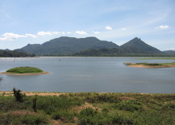 Кандалама, Шри-Ланка, фото № 51279 – фотографии Шри-Ланки