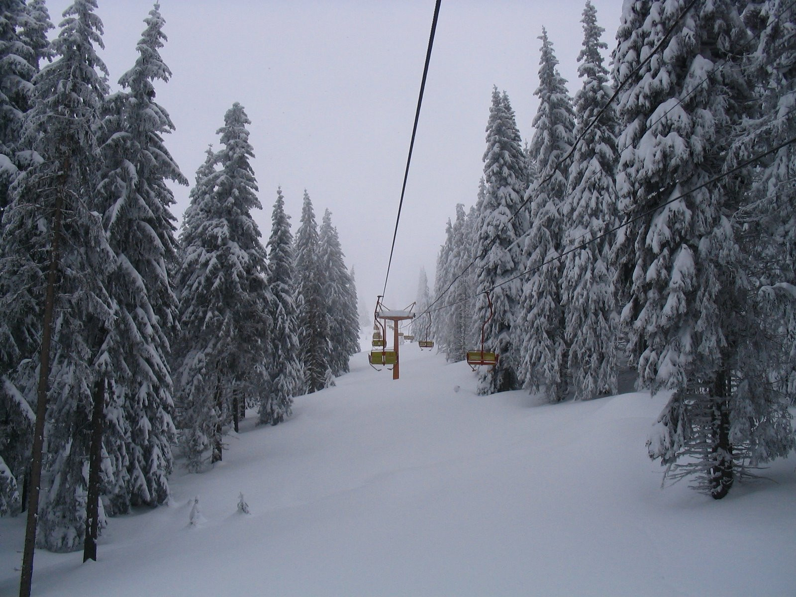 Природа в Чепеларе, Болгария – фотографии Болгарии