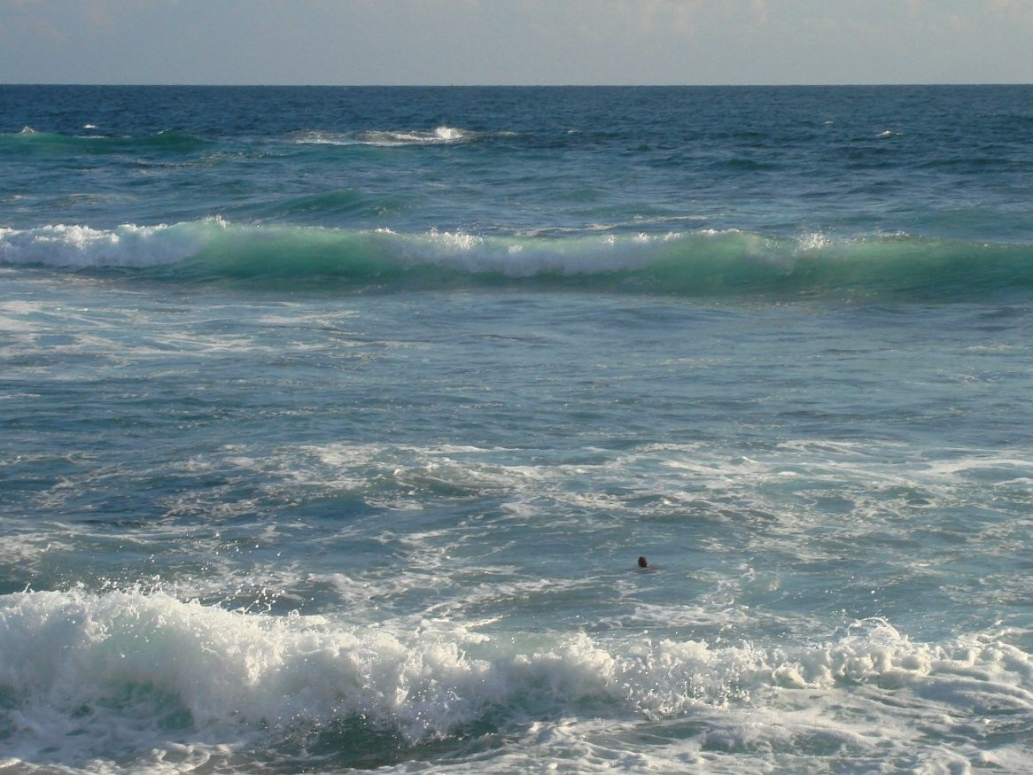 Хиккадува, Шри-Ланка, фото № 52589 – фотографии Шри-Ланки