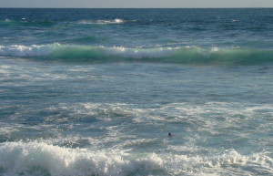 Хиккадува, Шри-Ланка, фото № 52589 – фотографии Шри-Ланки