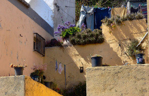 Вилья-де-Масо, Ла-Пальма остров, Канарские острова, фото № 31876 – фотографии Канарских островов