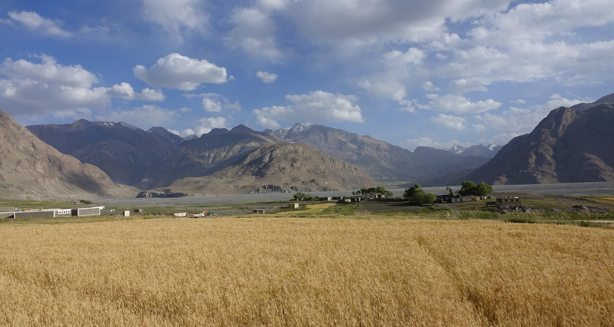 Поле пшеницы и горы. Афганистан – фотографии Афганистана