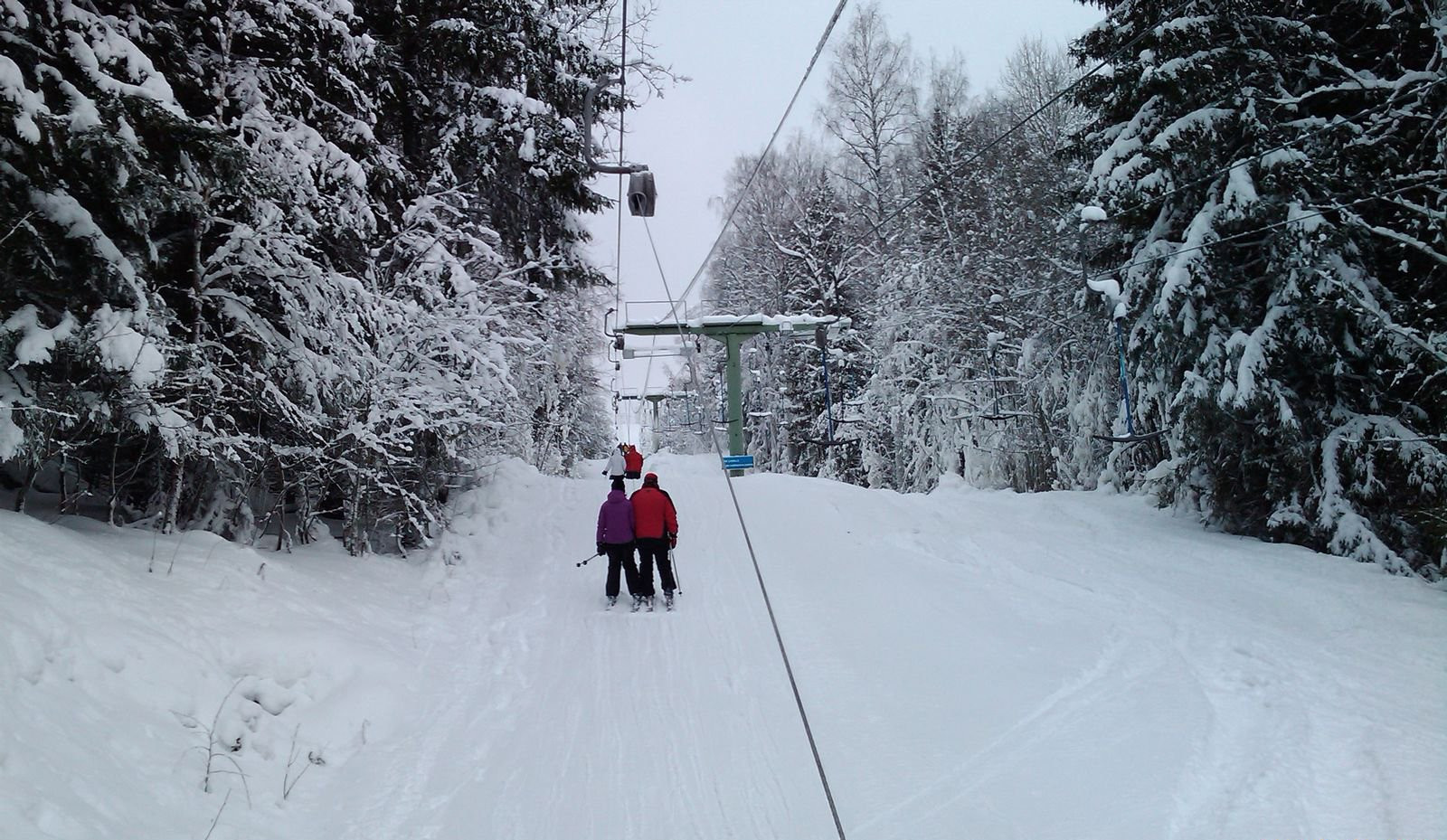 Коли, Финляндия, фото № 74545 – фотографии Финляндии