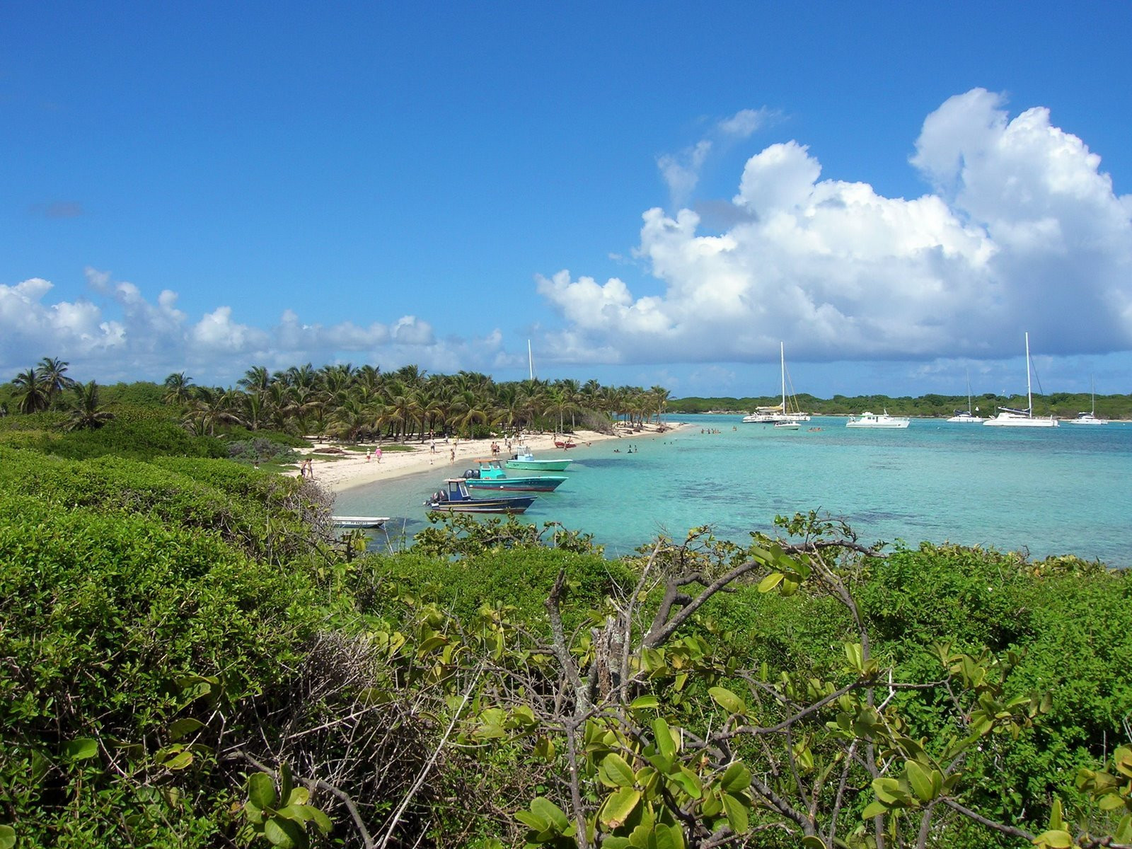 Гваделупа, фото № 3643 – фотографии Гваделупы