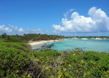 Гваделупа, фото № 3643 – фотографии Гваделупы