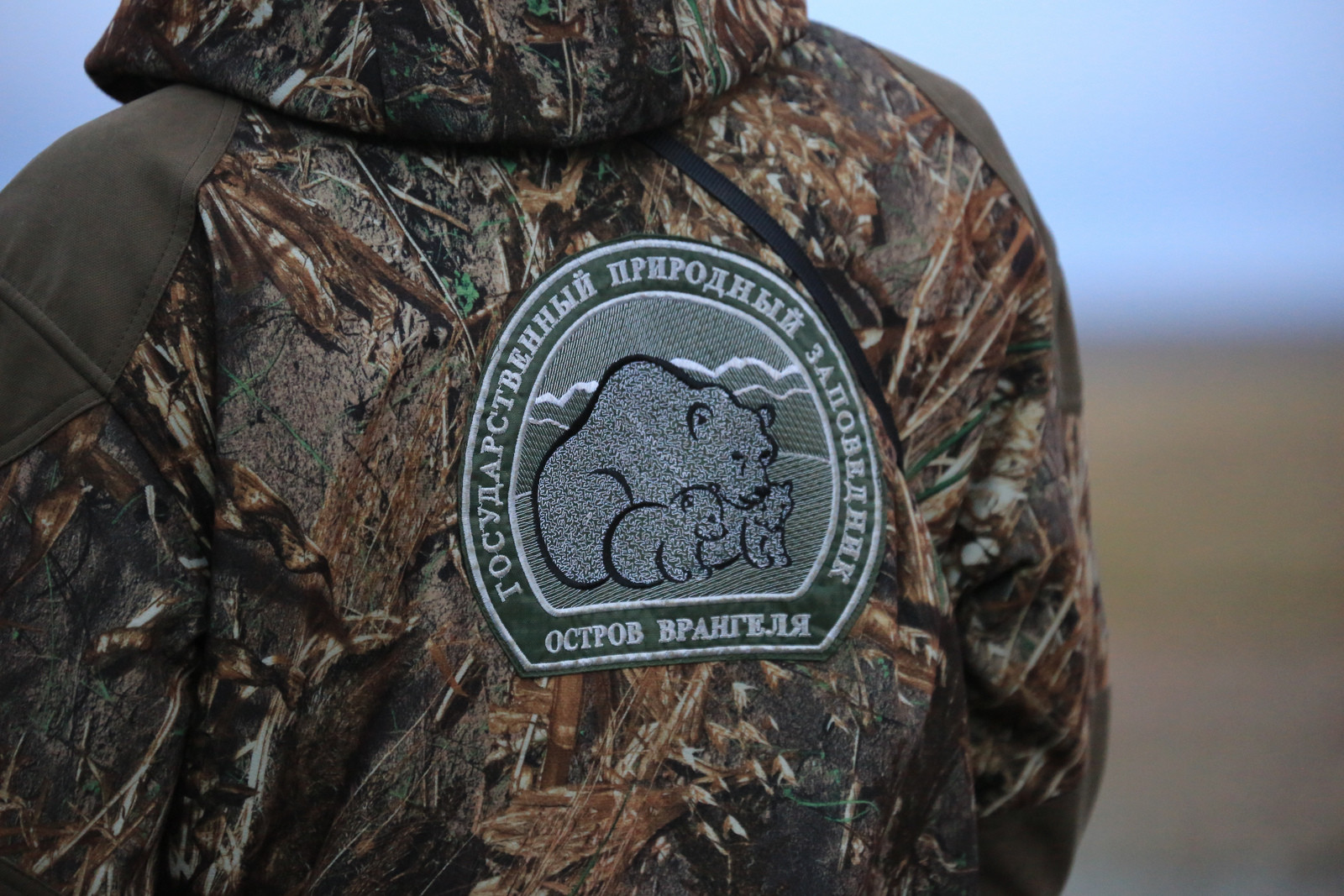 Смотритель заповедника на острове Врангеля, Чукотка. Фото 1 – фотографии России